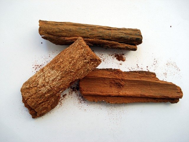 トニックウォーターの原料、キナ樹皮の画像。